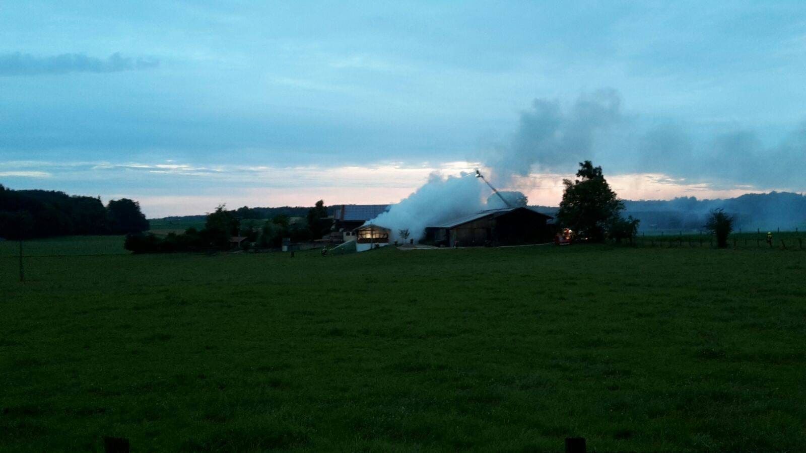 Landwirtschaftliche Hackschnitzelheizung abgebrannt, Kay / Tittmoning, Foto 2